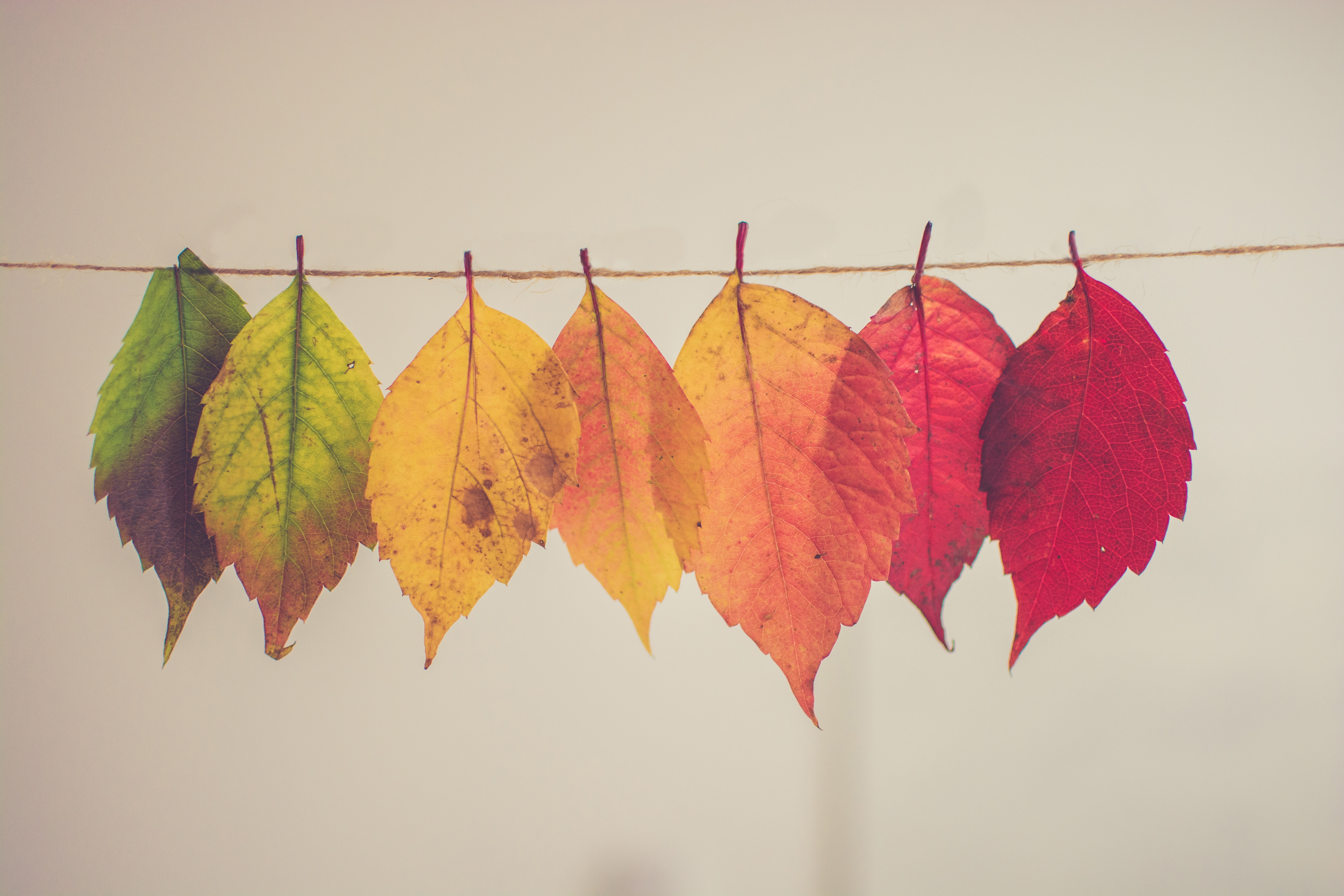 Blog Img